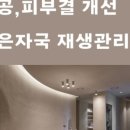 레오아 에스테틱