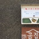 우진민박 이미지