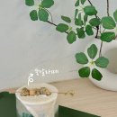 쑥달