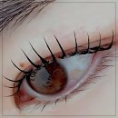 다인뷰티 이미지