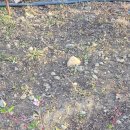 푸른 식물병원 이미지