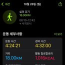 제주 올레길 8코스 이미지