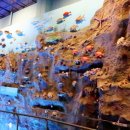 땅끝해양자연사박물관 이미지