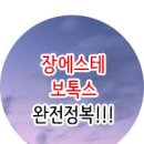 장에스테 이미지