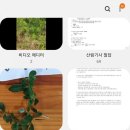 곰솔휴게실 | 산림기사 100일만에 합격 후기와 공부 팁이예요.