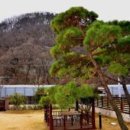 진전면932 이미지