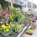 대지농산 이미지