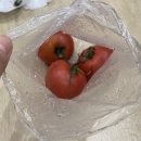 포천문고 이미지