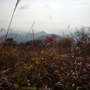 읍내삼거리 이미지