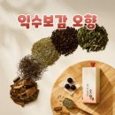 익수보감 오향 효과 성분 내돈내산 후기 먹는법