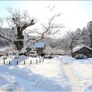 설경 이미지