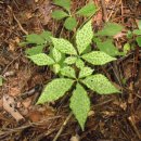 둔내농장 이미지