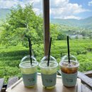 GR(하동군)-[악양서로]-상-1 | [하동] 푸르던 5월의 여행 with 15년지기 친구들 (최참판댁, 돌팀이횟집, 매암제다원)