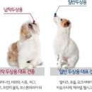 월 이미지