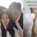 박시은 카카오 검색결과