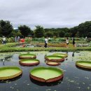 어우러짐 이미지