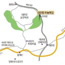 땅통종주 58구간 후기(대관령-노인봉-진고개) 이미지