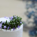 플로릴케이크 이미지