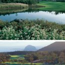 핀크스GC(회원제 18홀) 이미지