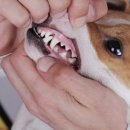 야호 어린이집 이미지