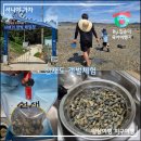 선재도 갯벌체험, 선재어촌 체험마을! 아이랑 바지락 캐기 feat. 물때 확인