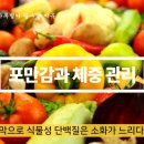 하루밀 - 춘천시 | 하루밀