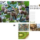 하동매실키위농원