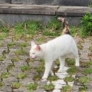 호텔더그랑중문 이미지