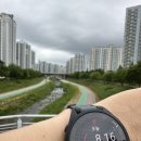8.15km 광복절 러닝 이미지