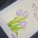 수채캘리그라피 이미지