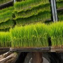 미호농장 이미지