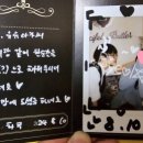팍스로열 이미지