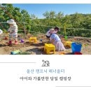 해너울 | 울산 캠프닉 해너울터 아이와 가볼만한 당일 캠핑장