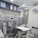 따뜻한 동물병원 이미지