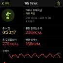 크로스핏 레오 네이버블로그