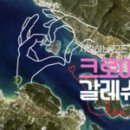 성심관광여행사 시사매거진