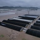 인양리 마을회관 이미지