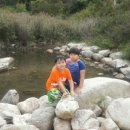 여울애꽃물들인 이미지