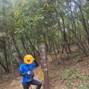 남양3호 근린공원 이미지