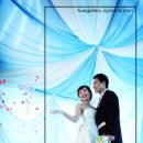 휴 갤러리 이미지