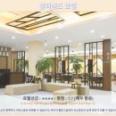 호텔블랙 | 제주 블랙샌즈 호텔 후기: 인생샷 보장! 제주 여행 호텔 추천