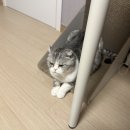 행복야식 - 중랑구 면목로 381 | 행복야식
