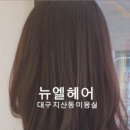 뉴엘헤어 - 수성구 용학로44길 42 | 뉴엘헤어