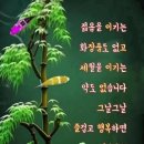 복되고 이미지
