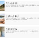 품스테이 이미지