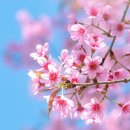 나을동물병원 이미지