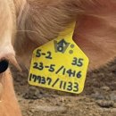 현태농장 이미지