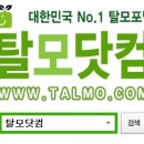 모라클 | 프리미엄 모라클 내추럴샴푸 후기 입니다.