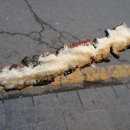 반한닥 이미지