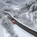 오저초교 이미지